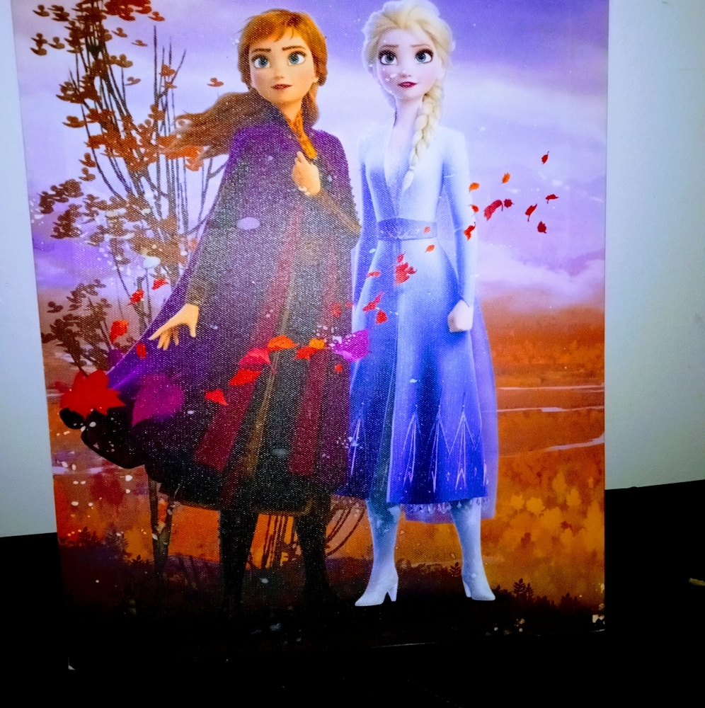 Light up Anna and Elsa picture in flawless condition! FREE gift included!